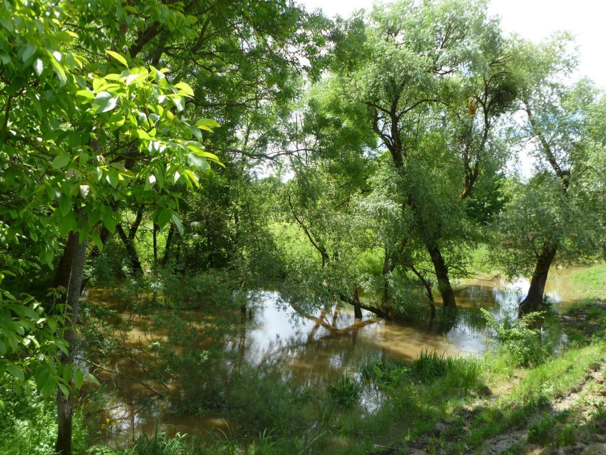 Rejtek Vendeghaz Otel Lispeszentadorján Dış mekan fotoğraf